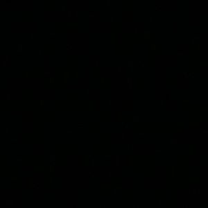 Meet your Posher, Delores